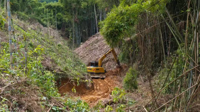 林間“藏龍”，竹?！芭P虎”——徐工林業(yè)挖機廣西俠客行